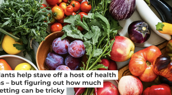 Many fruits and vegetables are high in antioxidants. istetiana/Moment via Getty Images